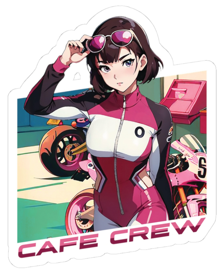 Sticker Pack (3 pack) FREE SHIPPING
