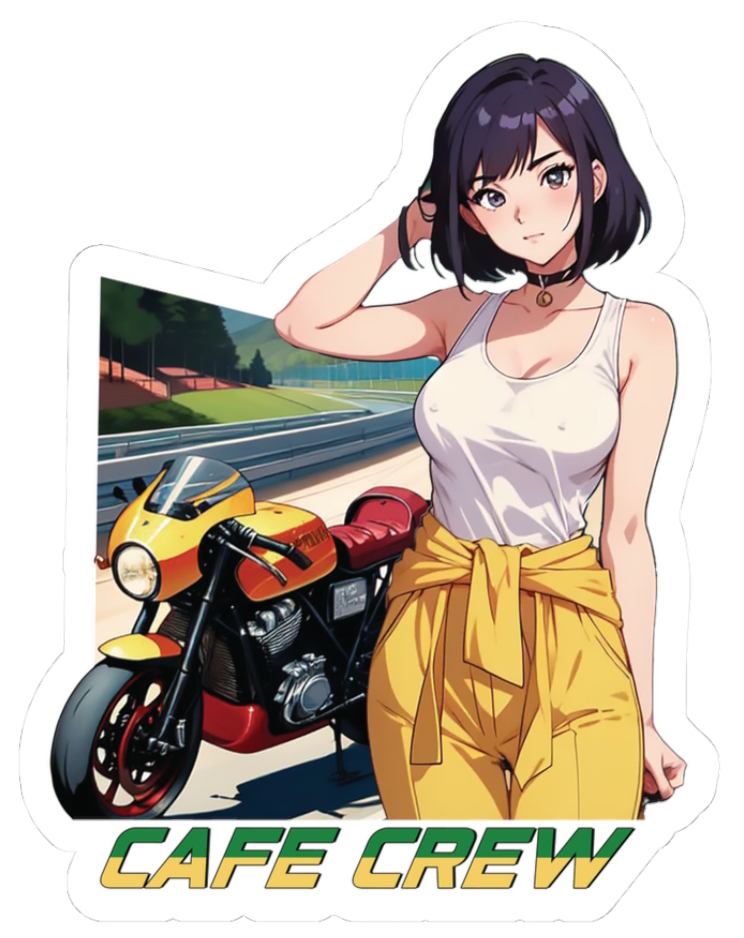 Sticker Pack (3 pack) FREE SHIPPING